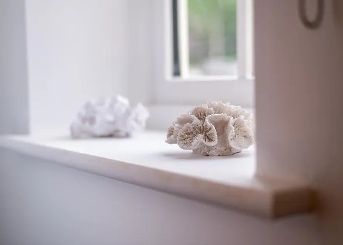 Retreats At Saltmoore Holiday home