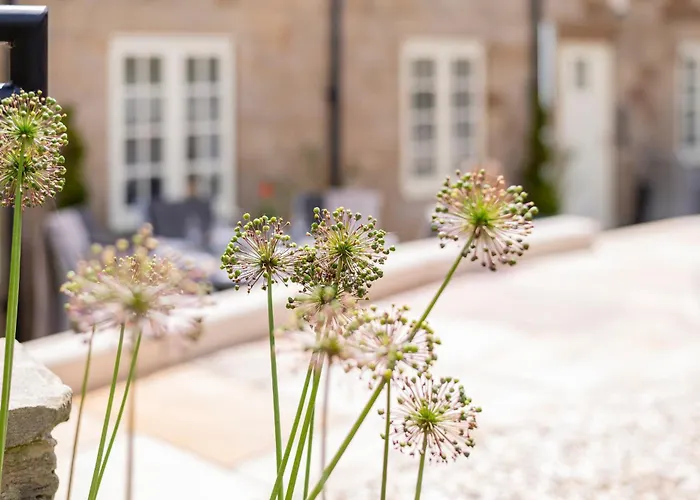 Holiday home Retreats At Saltmoore